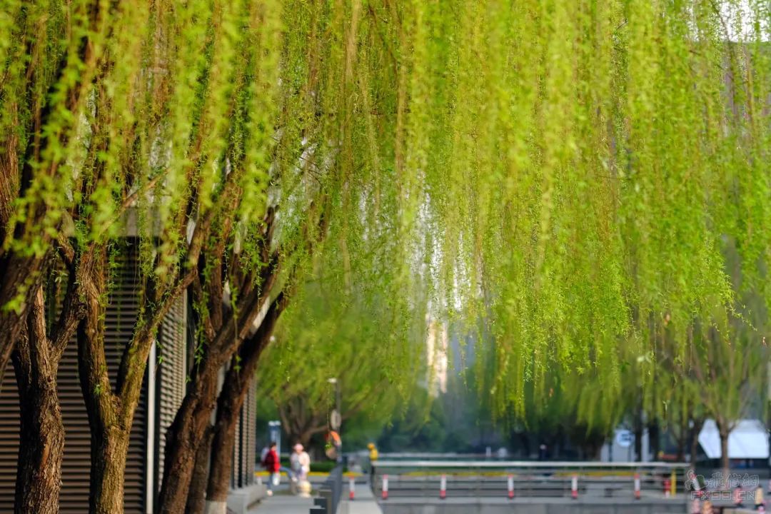 千金药业拟以发行股份加支付现金方式，提升对两子公司权益比例中国房地产报：存量房贷利率，等待下调